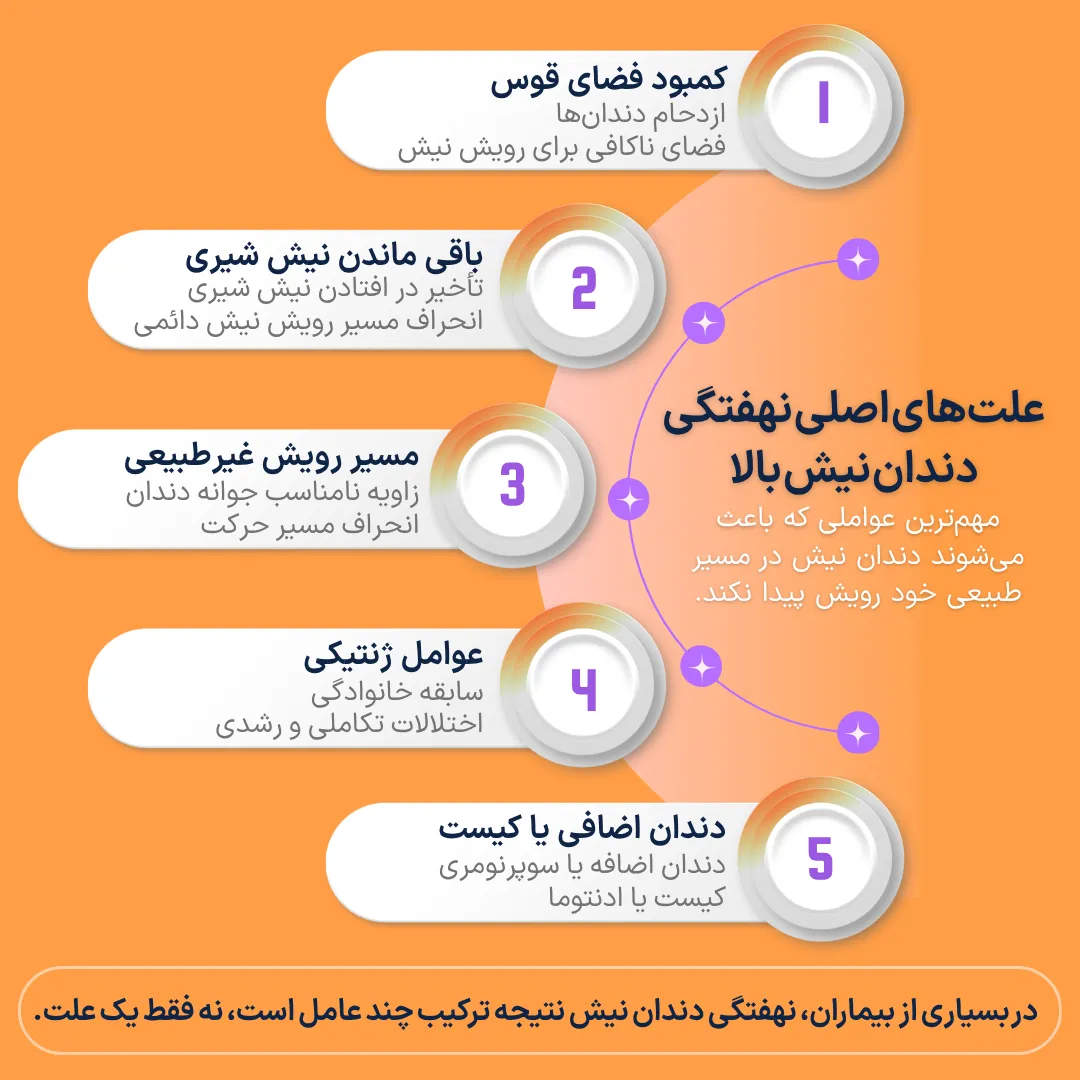 اینفوگرافیک علل دندان نیش نهفته بالا اینفوگرافیک عوامل مؤثر در نهفتگی دندان نیش بالا شامل کمبود فضای قوس، باقی ماندن نیش شیری، مسیر رویش غیرطبیعی، عوامل ژنتیکی و وجود دندان اضافی یا کیست.